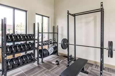 Free weights and weight machine